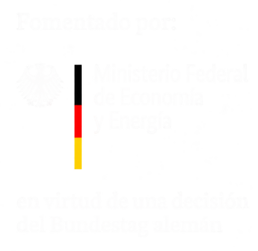 Fomentado por el Ministerio Federal de Economía y Energía de Alemania